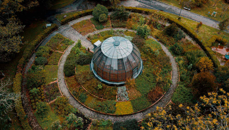 Lee más sobre el artículo Bogotá’s Botanical Garden: Discover Colombia’s Native Flora