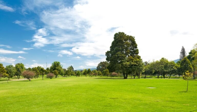 Lee más sobre el artículo Best Parks in Bogotá for Picnics, Sports, and Relaxation