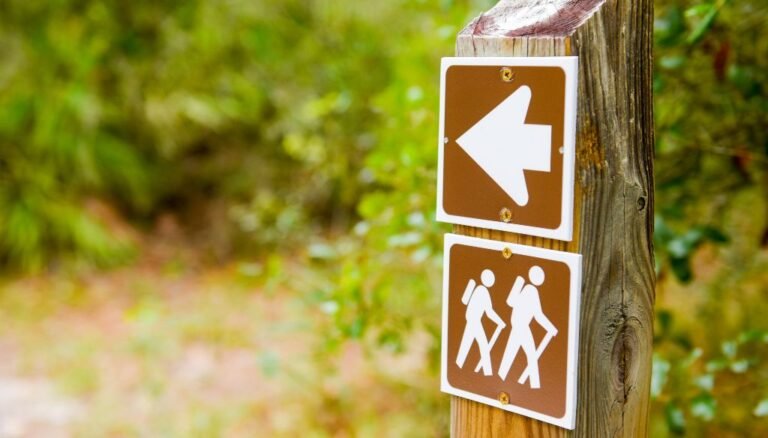 Lee más sobre el artículo Top Hiking Trails Around Bogotá for Outdoor Enthusiasts
